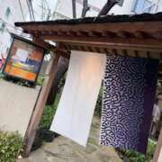 ヒメ日記 2026/09/04 20:22 投稿 桜花(おうか) CLUB PIAA