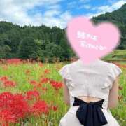 ヒメ日記 2026/10/01 10:02 投稿 桜花(おうか) CLUB PIAA