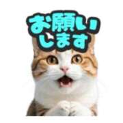ヒメ日記 2026/07/27 20:55 投稿 あゆむ ぷるるんマダム 難波店