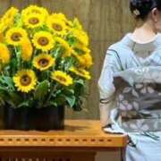 ヒメ日記 2026/08/30 11:49 投稿 いろは 人妻㊙︎倶楽部