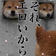 ヒメ日記 2026/09/25 05:10 投稿 いろは 人妻㊙︎倶楽部