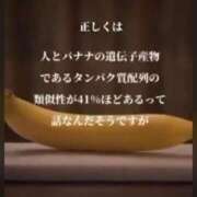 ヒメ日記 2026/10/09 00:10 投稿 いろは 人妻㊙︎倶楽部