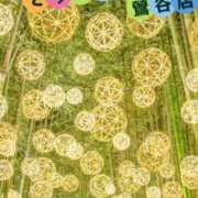 秋葉 ✉☺〘お休みなさい(:3_ヽ)_｡ƶƵ次回は８月半ば位かな？〙☺✉ 熟女デリヘル倶楽部