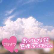 ヒメ日記 2026/07/31 06:30 投稿 なるみ 柏人妻花壇