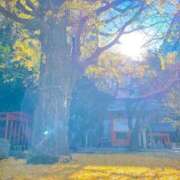ヒメ日記 2026/10/20 22:45 投稿 五月ゆう Etoile（エトワール）