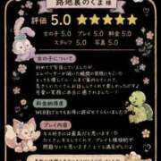 ヒメ日記 2026/08/21 12:05 投稿 ひめか♡極上SPコース♡ PANTHER（パンサー）