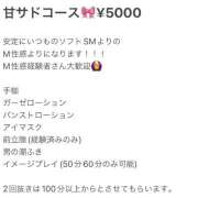 ヒメ日記 2026/08/22 14:45 投稿 ももな♡極上SPコース♡ PANTHER（パンサー）