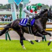 ヒメ日記 2026/09/27 15:57 投稿 あやめ マリアージュ大宮