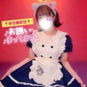 ヒメ日記 2026/07/21 10:48 投稿 しらん ハピネス＆ドリーム 松山道後温泉
