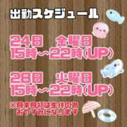 ヒメ日記 2026/07/23 23:19 投稿 せりか 品川ミセスアロマ（ユメオト）