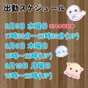 ヒメ日記 2026/08/05 19:30 投稿 せりか 品川ミセスアロマ（ユメオト）