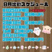ヒメ日記 2026/08/25 20:51 投稿 せりか 品川ミセスアロマ（ユメオト）