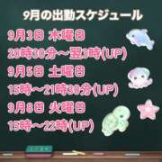 ヒメ日記 2026/08/31 21:41 投稿 せりか 品川ミセスアロマ（ユメオト）