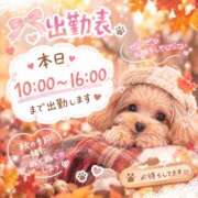 ヒメ日記 2026/09/23 06:27 投稿 ほの 桃李（とうり）