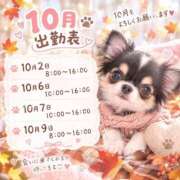 ヒメ日記 2026/09/26 21:22 投稿 ほの 桃李（とうり）