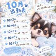 ヒメ日記 2026/09/29 04:02 投稿 ほの 桃李（とうり）