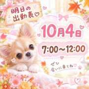 ヒメ日記 2026/10/03 12:52 投稿 いつは 桃李（とうり）