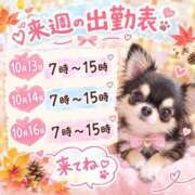 ヒメ日記 2026/10/10 20:09 投稿 いつは 桃李（とうり）