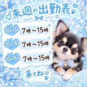 ヒメ日記 2026/10/11 17:32 投稿 ほの 桃李（とうり）