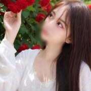 はな　正統派S級美女、納得の逸材 ❣️ハロ〜❣️ CELEB FACE NAKASU