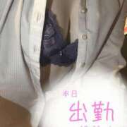 ヒメ日記 2026/07/20 10:04 投稿 本田　明日美 プルプル札幌性感エステ はんなり