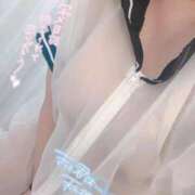 ヒメ日記 2026/07/19 17:08 投稿 あまね 静岡駅前ちゃんこ