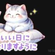 ヒメ日記 2026/08/03 10:58 投稿 みほ ギン妻パラダイス 和歌山店