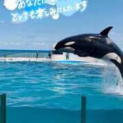 ヒメ日記 2026/07/21 08:13 投稿 如月もも ミスターダンディー