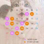 ヒメ日記 2026/08/23 22:04 投稿 るみな ロード