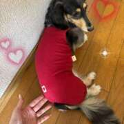 ヒメ日記 2026/09/03 14:36 投稿 いろは VIVID CREW Pink Party Paradise
