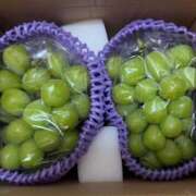 ゆず★Fカップ×有名大現役JD 大好物🍇 渋谷S級素人清楚系デリヘル chloe