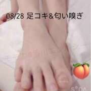 ヒメ日記 2026/08/30 00:47 投稿 白鳥 百華女王様 Club-Embassy