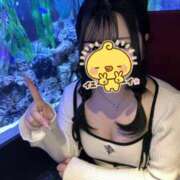 ヒメ日記 2026/09/08 21:30 投稿 若葉 BBW横浜店