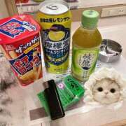 のあ お礼🦭 もみもみワンダーランド