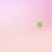 ヒメ日記 2026/07/29 14:49 投稿 いろは パラダイス(泉大津)