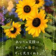 ヒメ日記 2026/07/23 22:34 投稿 美波 みおり Men's relaxation VEGA