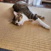 ヒメ日記 2026/08/07 15:06 投稿 ライカ 広島痴女性感フェチ倶楽部
