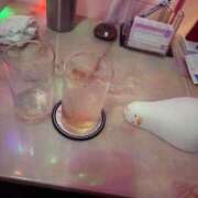 ヒメ日記 2026/09/12 18:03 投稿 ひより あふたーすくーる