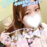 ヒメ日記 2026/09/15 12:38 投稿 ゆの エンジェルハンズ