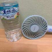 碧海【あおみ】 必需品！ 丸妻 西船橋店
