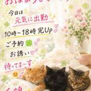 ヒメ日記 2026/08/15 08:03 投稿 千鶴【ちづる】 丸妻 西船橋店