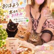 ヒメ日記 2026/09/24 10:08 投稿 千鶴【ちづる】 丸妻 西船橋店