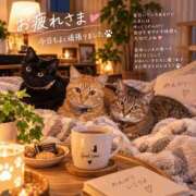 ヒメ日記 2026/09/24 19:17 投稿 千鶴【ちづる】 丸妻 西船橋店