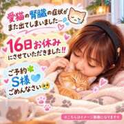 ヒメ日記 2026/10/15 23:59 投稿 千鶴【ちづる】 丸妻 西船橋店