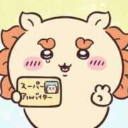 ヒメ日記 2026/08/24 15:43 投稿 みやこ【超ドM超ド変態】 STELLA TOKYO－ステラトウキョウ－