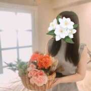 ヒメ日記 2026/08/23 13:02 投稿 菫‐sumire‐ 虜SPA 横浜店