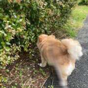 ヒメ日記 2026/07/28 08:52 投稿 まい★ 阿AUN呍(あうん)