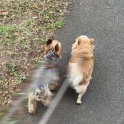 ヒメ日記 2026/08/17 09:24 投稿 まい★ 阿AUN呍(あうん)