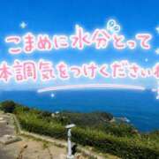 ヒメ日記 2026/08/07 15:51 投稿 あいら 熟女総本店 堺東店