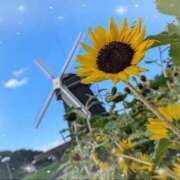 ヒメ日記 2026/08/04 08:18 投稿 菜月(なつき) PLUS十三店